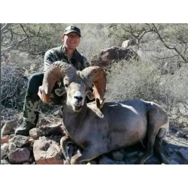 10 DAY DESERT BIGHORN HUNT FOR 1 HUNTER - $85,000