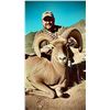 Image 2 : 10 DAY DESERT BIGHORN HUNT FOR 1 HUNTER - $85,000
