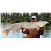 Image 3 : GANGLER'S NORTH SEAL RIVER LODGE 4-DAY TRIP FOR 2 - $12,990 / EXHIBITOR