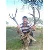 Image 2 : ARGENTINA RED STAG FOR 1 HUNTER- $8,000