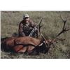 Image 3 : ARGENTINA RED STAG FOR 1 HUNTER- $8,000