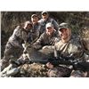Image 2 : 5-DAY ARIZONA COUES WHITETAIL AND MOUNTAIN LION FOR 2 HUNTERS - $22,500