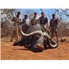 Image 4 : 5-DAY BLACK DEATH HUNT FOR 1 HUNTER -  $15,000 / EXHIBITOR