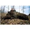 Image 7 : 5-DAY BLACK DEATH HUNT FOR 1 HUNTER -  $15,000 / EXHIBITOR
