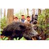 Image 8 : 5-DAY BLACK DEATH HUNT FOR 1 HUNTER -  $15,000 / EXHIBITOR
