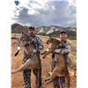 Image 3 : TROPHY MOUNTAIN LION HUNT WITH HOUNDS IN ARIZONA -$9,500