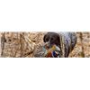 Image 4 : WERN VALLEY TOWER SHOOT FOR 20 HUNTERS - $6,500