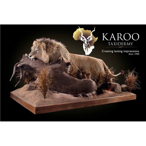 Karoo Taxidermy Certificate