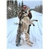 Image 1 : 5 Day Timberwolf Hunt in Ontario, Canada for 1 Hunter (Dates 2026-2027) Donated by: Kap River Outfit