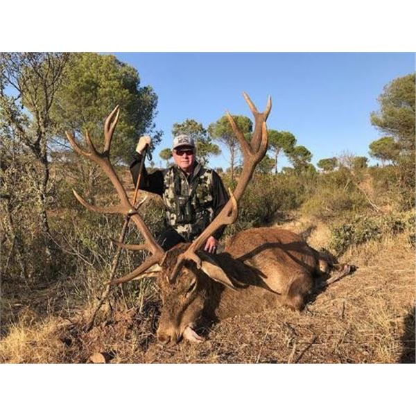 Spanish Hunt Donated By: Gonzalo Colomina for hunters choice of Mouflon Sheep, Fallow or Red Deer