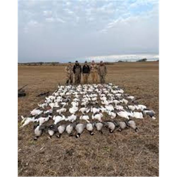 South Dakota Snow Goose Conservation Hunt 1 day 6 hunters with South Dakota Snows.