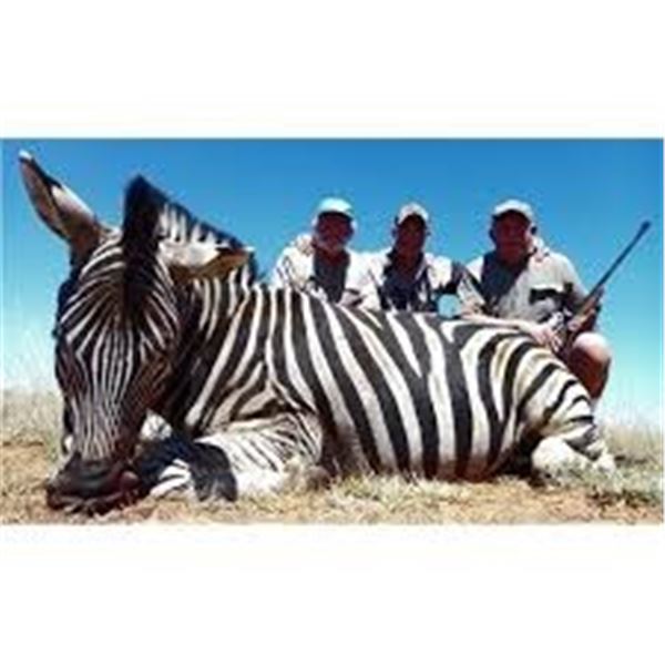 5-Day hunting safari (included the arrival and departure days) for 2 hunters.for total of 1 Zebra, 1