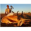 Image 2 : 5-Day hunting safari (included the arrival and departure days) for 2 hunters.for total of 1 Zebra, 1