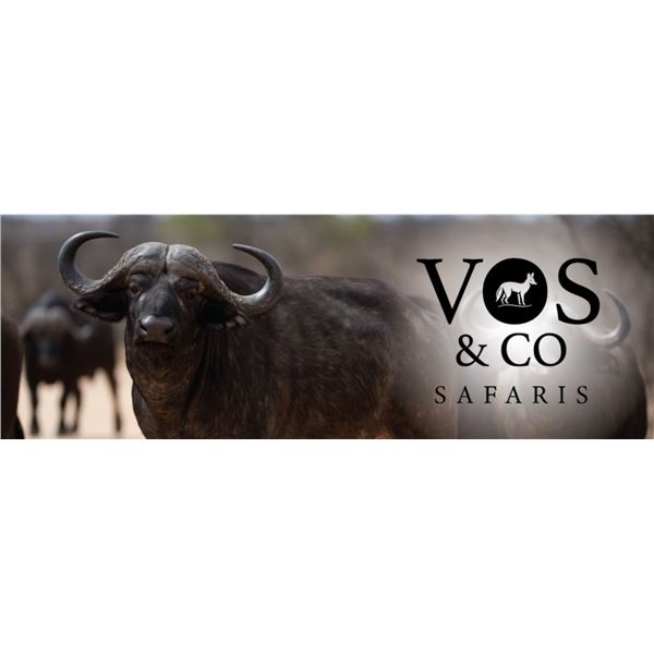 6 Day Cape Buffalo for 2026 or 2027 Donated by Vos and Co Safaris