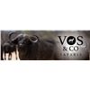 Image 1 : 6 Day Cape Buffalo for 2026 or 2027 Donated by Vos and Co Safaris