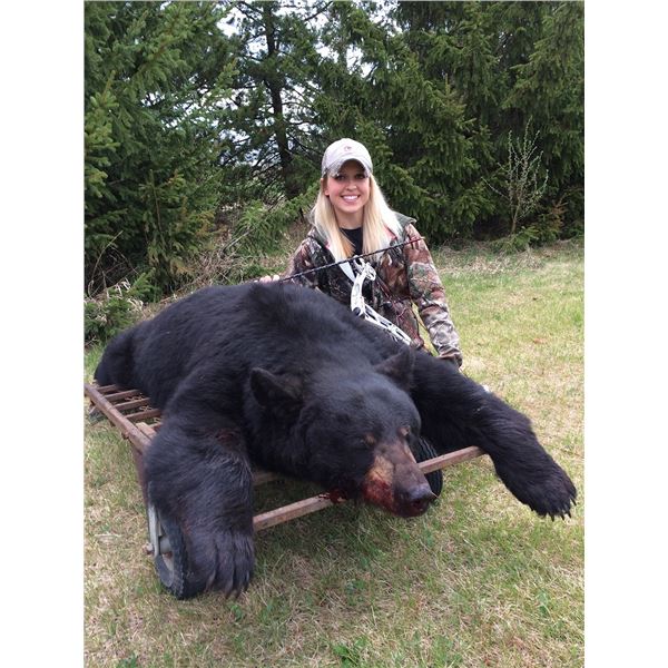 North Star Outfitting in Alberta, Canada has donated a Black Bear hunt for 1 Hunter in Zone 500/501