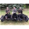 Image 2 : North Star Outfitting in Alberta, Canada has donated a Black Bear hunt for 1 Hunter in Zone 500/501