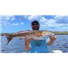 Image 3 : Lone Eagle Alaska Fishing had donated a 3-day Saltwater Fishing& amp; 4 Night Lodging for 4 people.