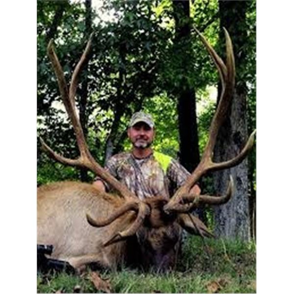 Goodman Ranch has donated an Bull Elk hunt for 1 hunter at their lodge in Henderson Tennessee.