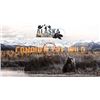 Image 2 : Alaska Elite Outfitter has donated a 2-person 5 day  Silver Salmon Fishing Trip. The lodge is locate