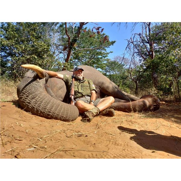 Mynyati Safaris is pleased to present a 10-Day Non-Trophy EXPORTABLE Bull Elephant Hunting Safari in