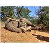 Image 1 : Mynyati Safaris is pleased to present a 10-Day Non-Trophy EXPORTABLE Bull Elephant Hunting Safari in