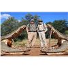 Image 1 : 10-Day Safari for 2 Hunters (2x1) 2 Observers FOR 2 Crocodiles up tp 11ft Donated By: Bronkhorst Saf