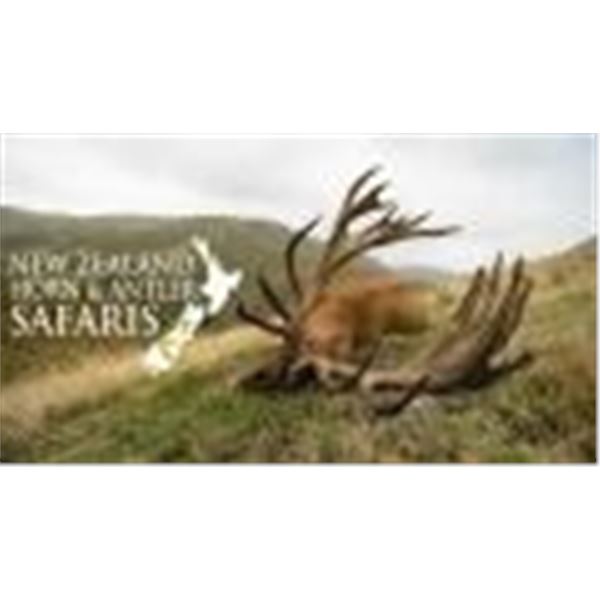 New Zealand 10-Day Red Stag up to 360SCI. New Zealand Horn & amp; Antler Safaris would like to exten