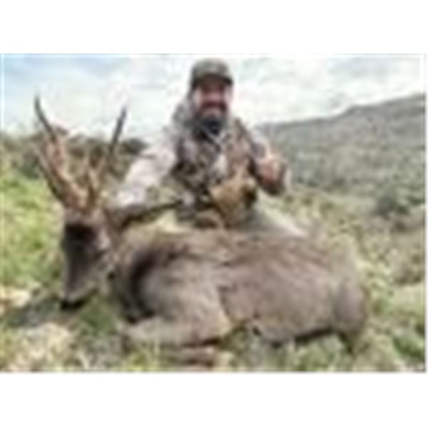 Roe Deer Hunting Experience in Spain with Wine Tasting & Cultural Tours Donated by: Oscar Colomina f