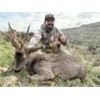 Image 1 : Roe Deer Hunting Experience in Spain with Wine Tasting & Cultural Tours Donated by: Oscar Colomina f