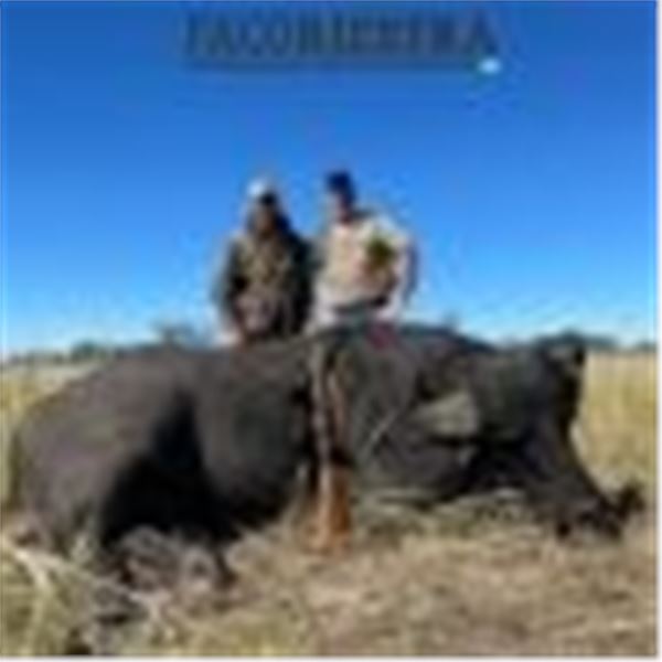 5 day and 4-night Argentina Water Buffalo Hunt for one hunter in Cordoba, Argentina with Paco Riestr