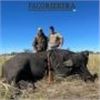 Image 1 : 5 day and 4-night Argentina Water Buffalo Hunt for one hunter in Cordoba, Argentina with Paco Riestr