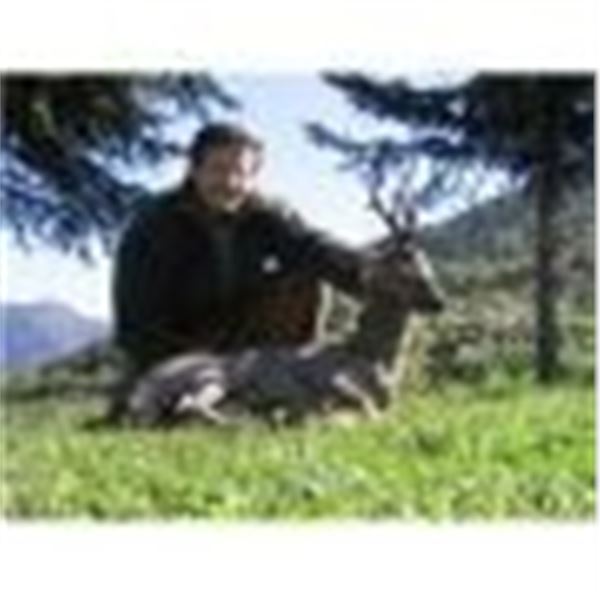 HUNT TRIP SPAIN 2026 EXPEDITION FOR 1 HUNTER + 1 NON-HUNTER FOR ROE DEER Included 3 days of sightsee