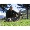 Image 1 : HUNT TRIP SPAIN 2026 EXPEDITION FOR 1 HUNTER + 1 NON-HUNTER FOR ROE DEER Included 3 days of sightsee