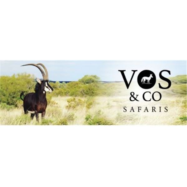 6 Day Sable and Gemsbok Donation hunt for 2026 OR 2027 Donated by: Vos and Co Safaris