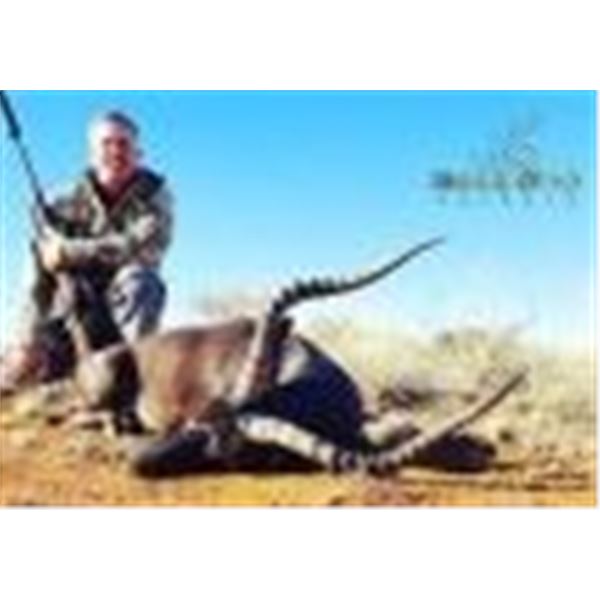 Jannie Otto Safaris has donated this comprehensive hunting package includes the following trophies: 