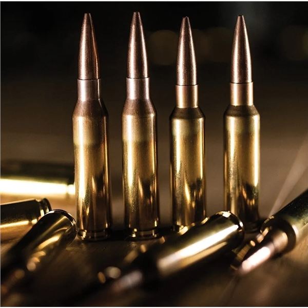 Custom Load Development