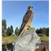 Image 2 : Peregrine Falcon Mount