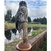 Image 1 : Great Gray Owl Mount