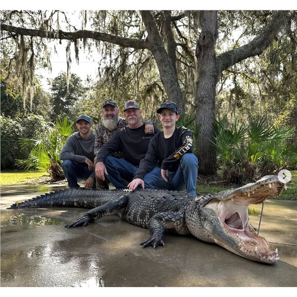 1 Trophy Alligator and 2 meat hogs combo hunt for 2 hunters