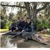 Image 1 : 1 Trophy Alligator and 2 meat hogs combo hunt for 2 hunters