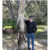 Image 2 : 1 Trophy Alligator and 2 meat hogs combo hunt for 2 hunters