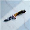 Image 3 : Copper Mai Damascus Custom Banquet Knife with Sheephorn Handle