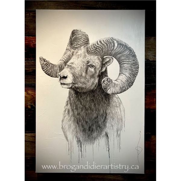 Custom framed & sealed original charcoal drawing of a Southern B.C Bighorn Ram. Brogan Didier