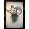 Image 1 : Custom framed & sealed original charcoal drawing of a Southern B.C Bighorn Ram. Brogan Didier