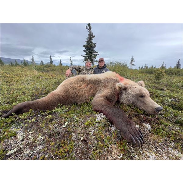 Remote 10-day Alaska Grizzly Bear Hunt with Bushwhack Adventures