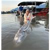 Image 3 : 8-Hour Sturgeon Fishing trip with up to 10 anglers