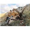Image 2 : Spain – Southeastern Ibex hunt for two (2) Hunters