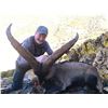Image 3 : Spain – Southeastern Ibex hunt for two (2) Hunters