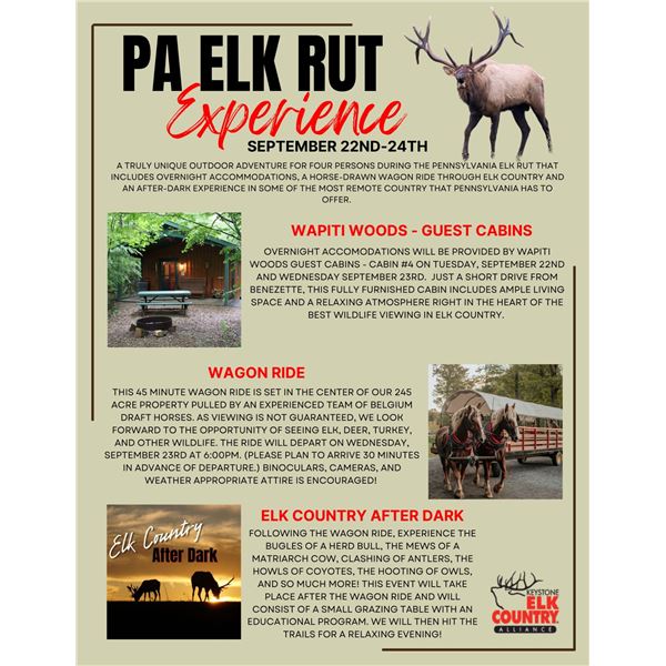 Pennsylvania - Elk-Rut Experience for 4 people (2 days/2 nights) in Benezette, PA